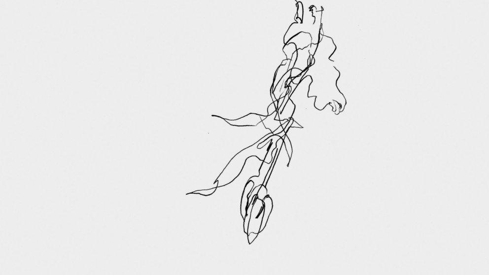 Forschung