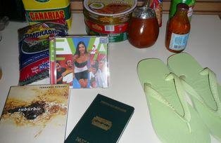 Dia do Brasil (2009)