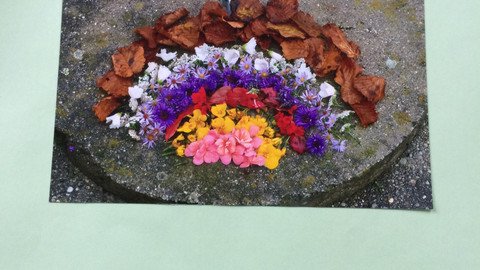 LandArt
