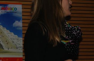 D&iacute;a de M&eacute;xico (2012)