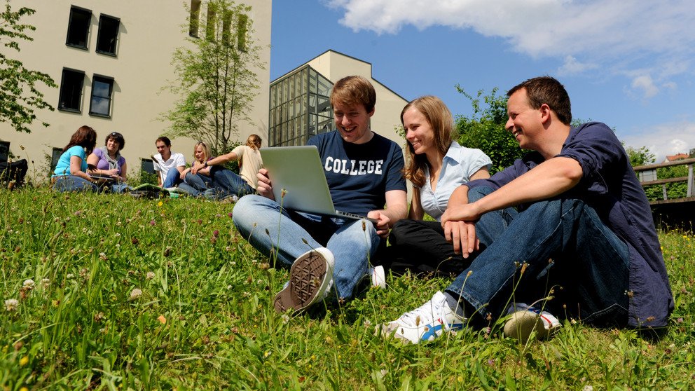 Studies and Teaching