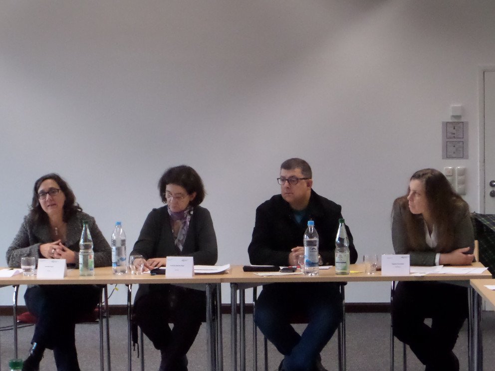 A. Paatz, F. Montiel-Rayo, J. E. Checa, D. Schmelzer