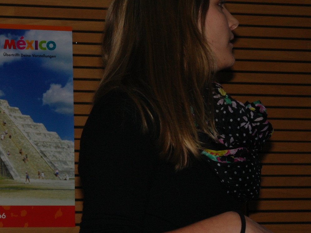 D&iacute;a de M&eacute;xico (2012)
