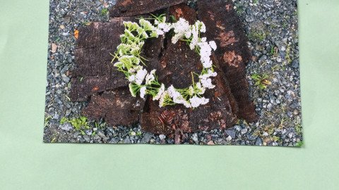 LandArt