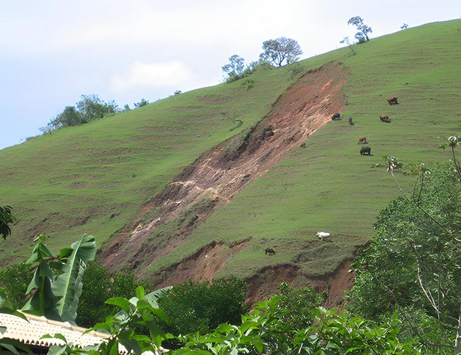 Brasilianischer K&uuml;stenregenwald: Strategien gegen bedrohliche D&uuml;rren