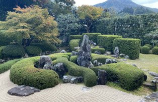 [Translate to Englisch:] ZenGarten