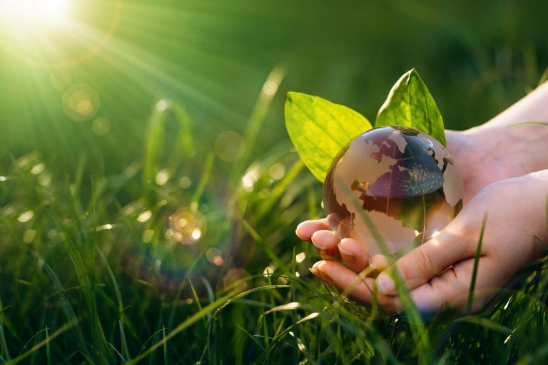 Decorative image for sustainablity