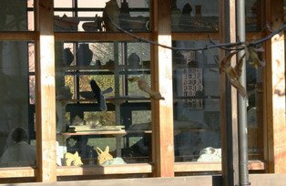 Geb&auml;ude und R&auml;umlichkeiten der Kunstp&auml;dagogik