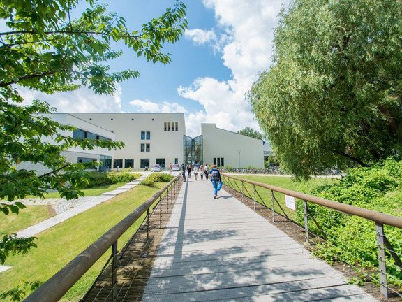 A bridge on the university campus