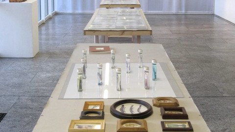 Sammeln, ordnen, auslegen