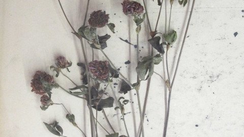 Sammeln, ordnen, auslegen