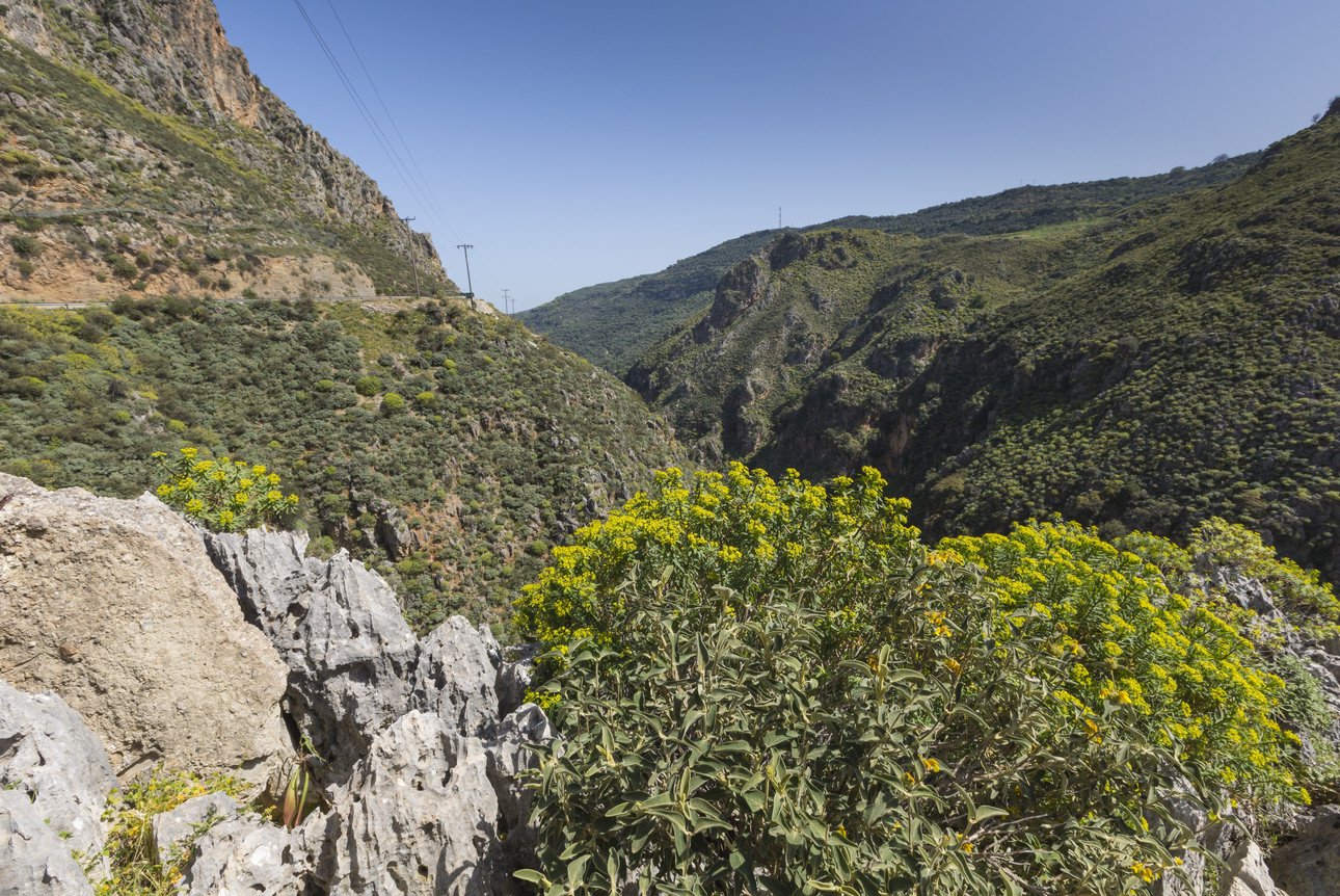 Gebirgslandschaft Kreta (Coulorbox)