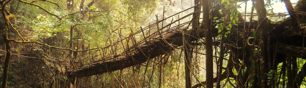 Symposium &laquo;Spiritual Ecology&raquo; 