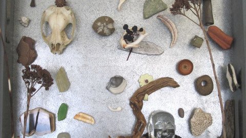 Sammeln, ordnen, auslegen