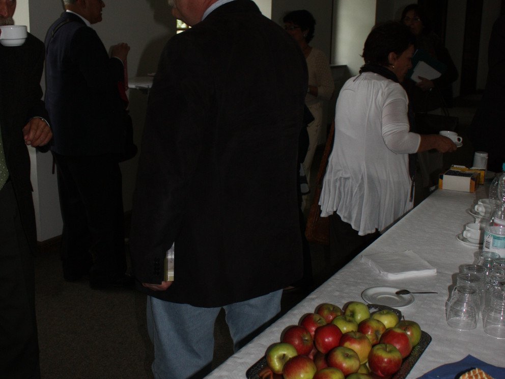 Los ind&iacute;genas en la literatura hispanoamericana