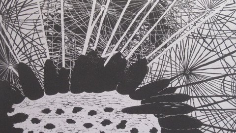 Nahaufnahme einer Pusteblume in schwarz wei&szlig;