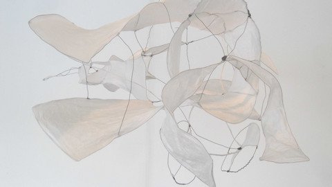 Flugk&ouml;rper aus Draht und Papier