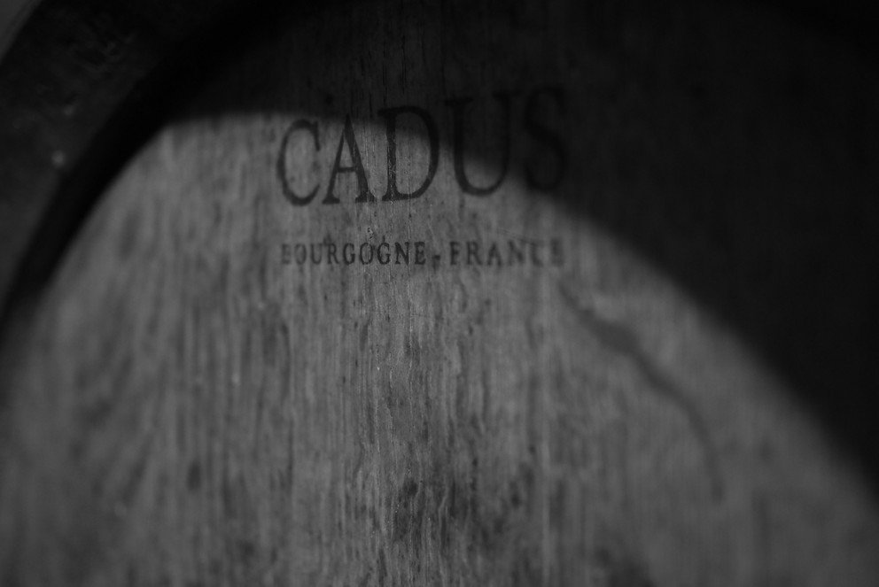 Symbolbild Wirtschaftsperspektiven