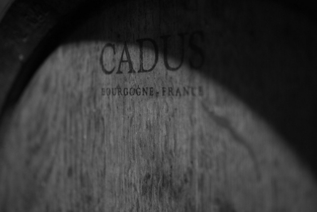 Symbolbild Wirtschaftsperspektiven