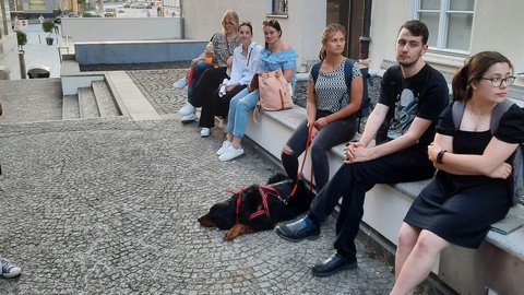 Social-Walk