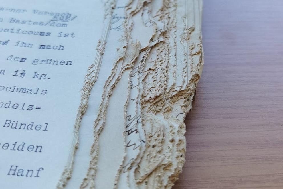 photo of old text documents 