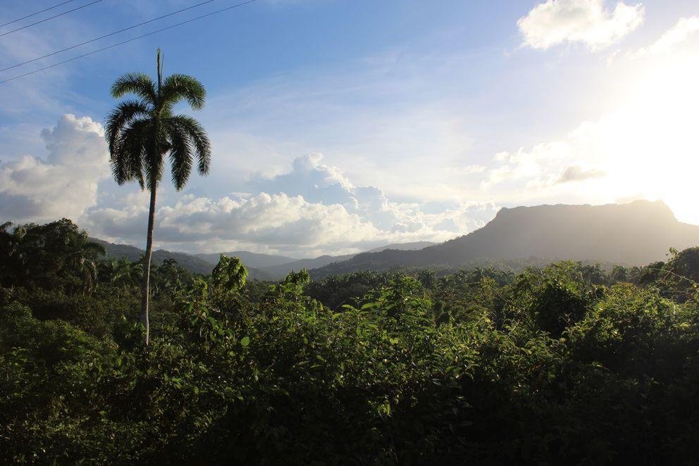 Foto "Baracoa - Tafelberg El Yunque" von Dalia Faust