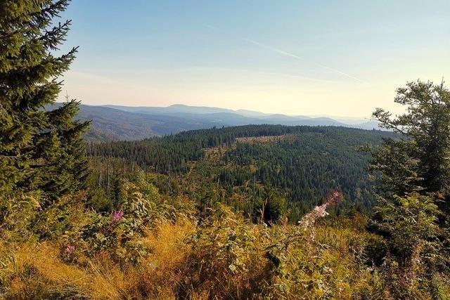 Bayerischer Wald