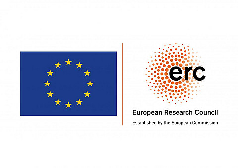 Europäische Union (EU) > EU - 9. Forschungsrahmenprogramm (Horizon Europe) > EU - Horizon Europe - ERC - Consolidator Grant