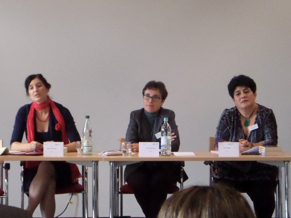 E. Houvenaghel, P. Nieva-de la Paz, D. Castilleja