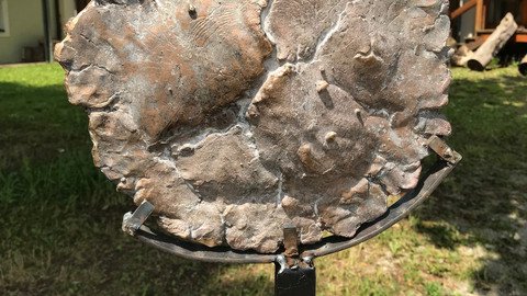 Metallscheibe auf einem Fu&szlig;