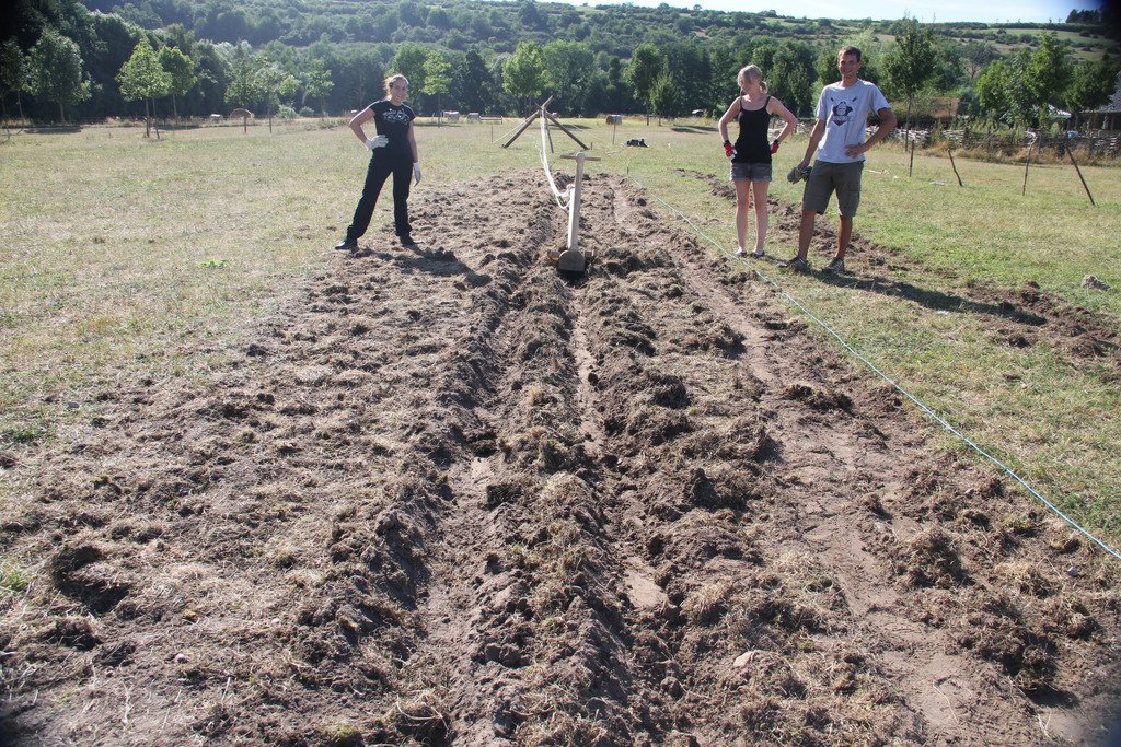 Resultat des experimentellen Einsatzes