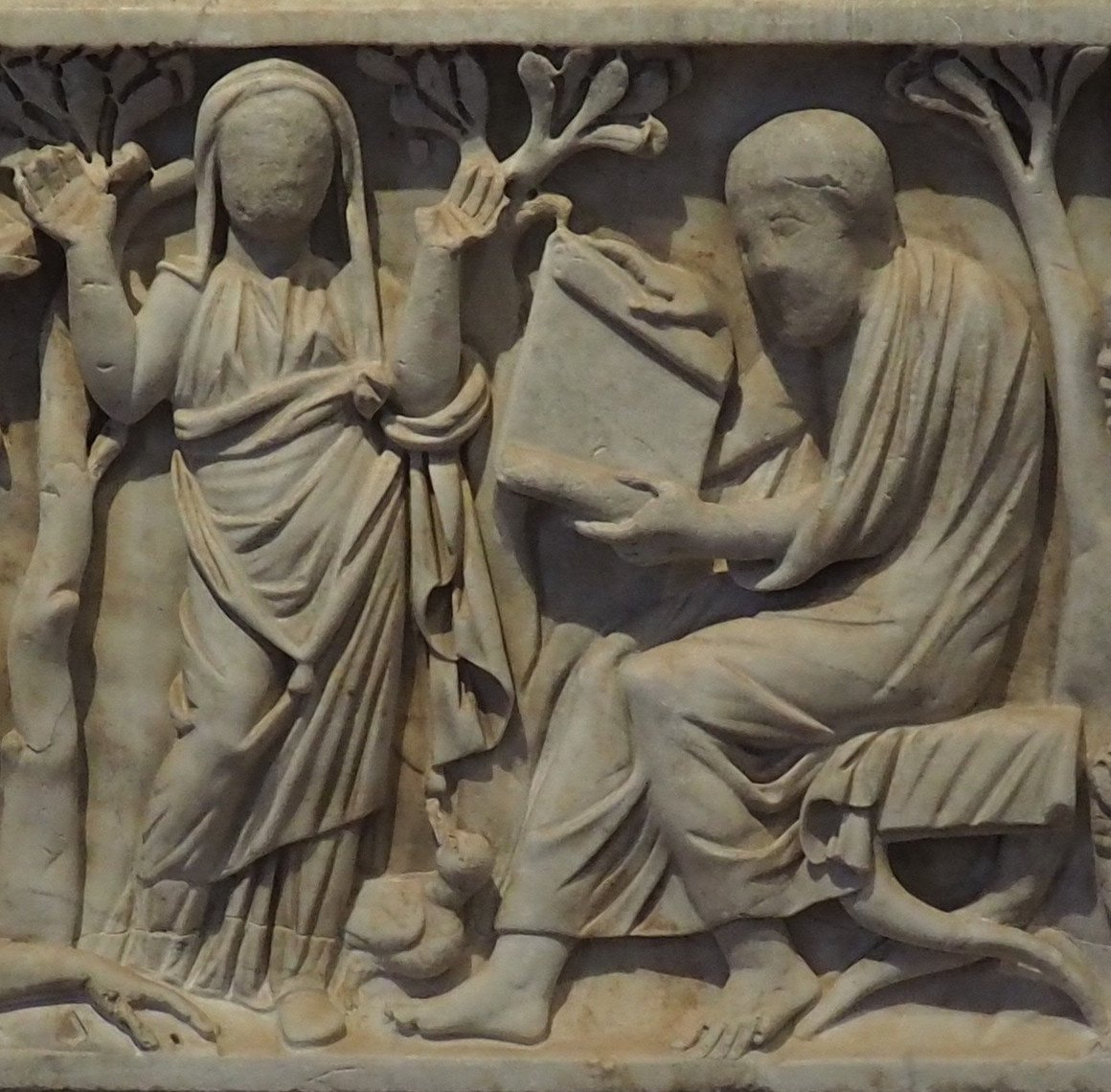 Decorative image, Photo: Prof. Dr. Bergmeier
