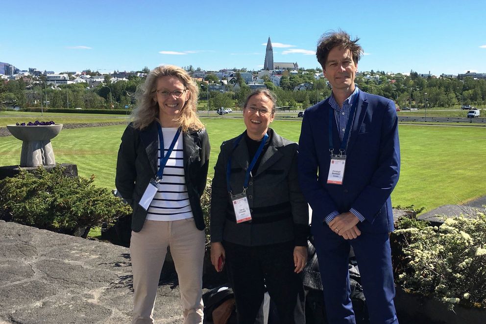 Leitung der Sektion „Interactions between cultures and management: A settled matter or rising issues”. auf der EURAM-Konferenz in Reykjavik 2018