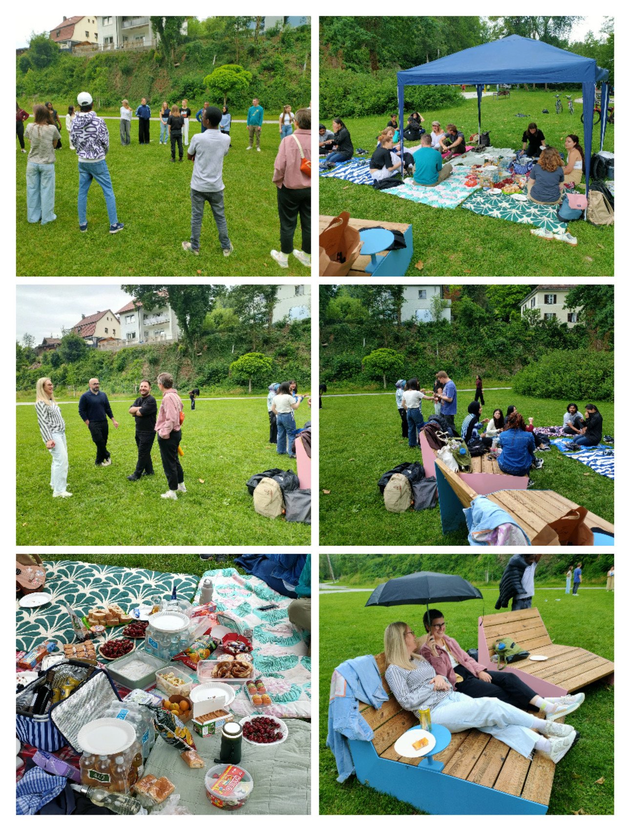 International Picnic 