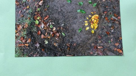 LandArt