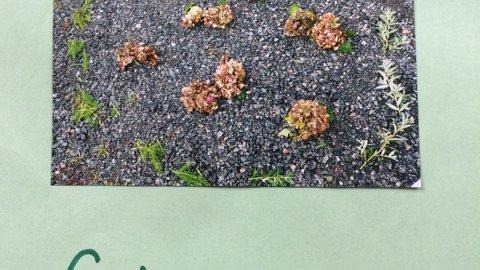 LandArt