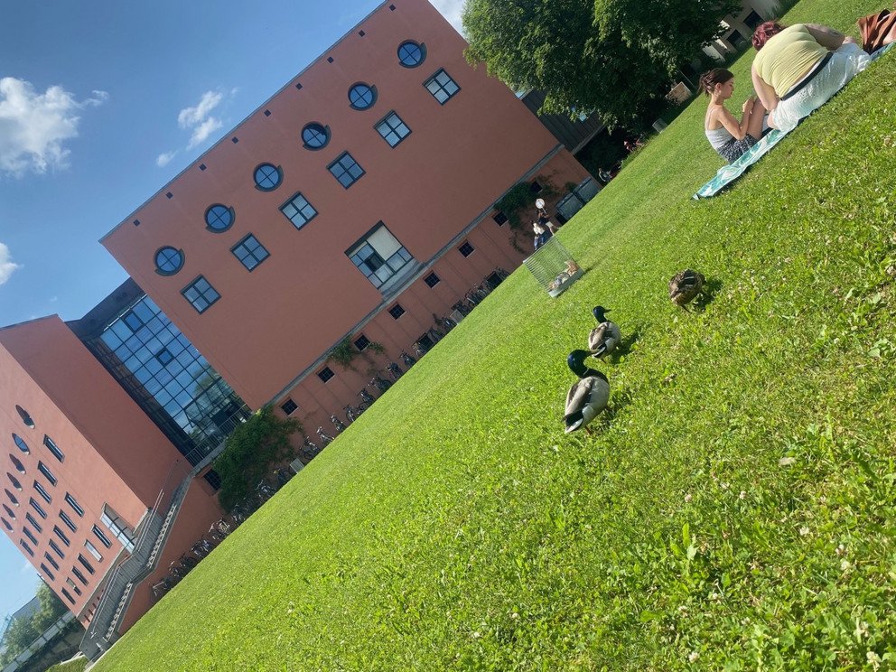 Philosophicum with Innwiese and ducks