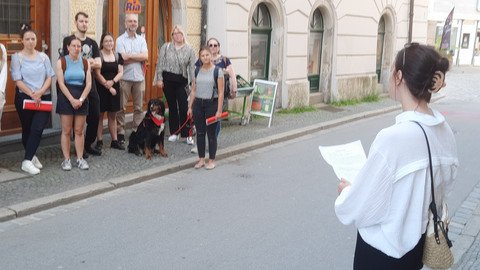 Social-Walk