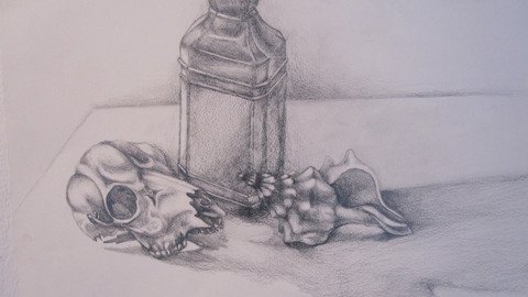 Gezeichneter Flakon zwischen einem Skelettkopf eines Tieres und einer  gedrehten Muschel