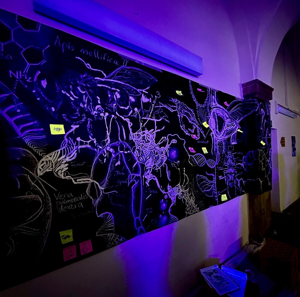 Anna Unrecht, Mara Bachl, Ann-Sophie M&uuml;ller, Lea Neuberger, Mia Schiesser und Lydia Schmidt: Scientific drawings.