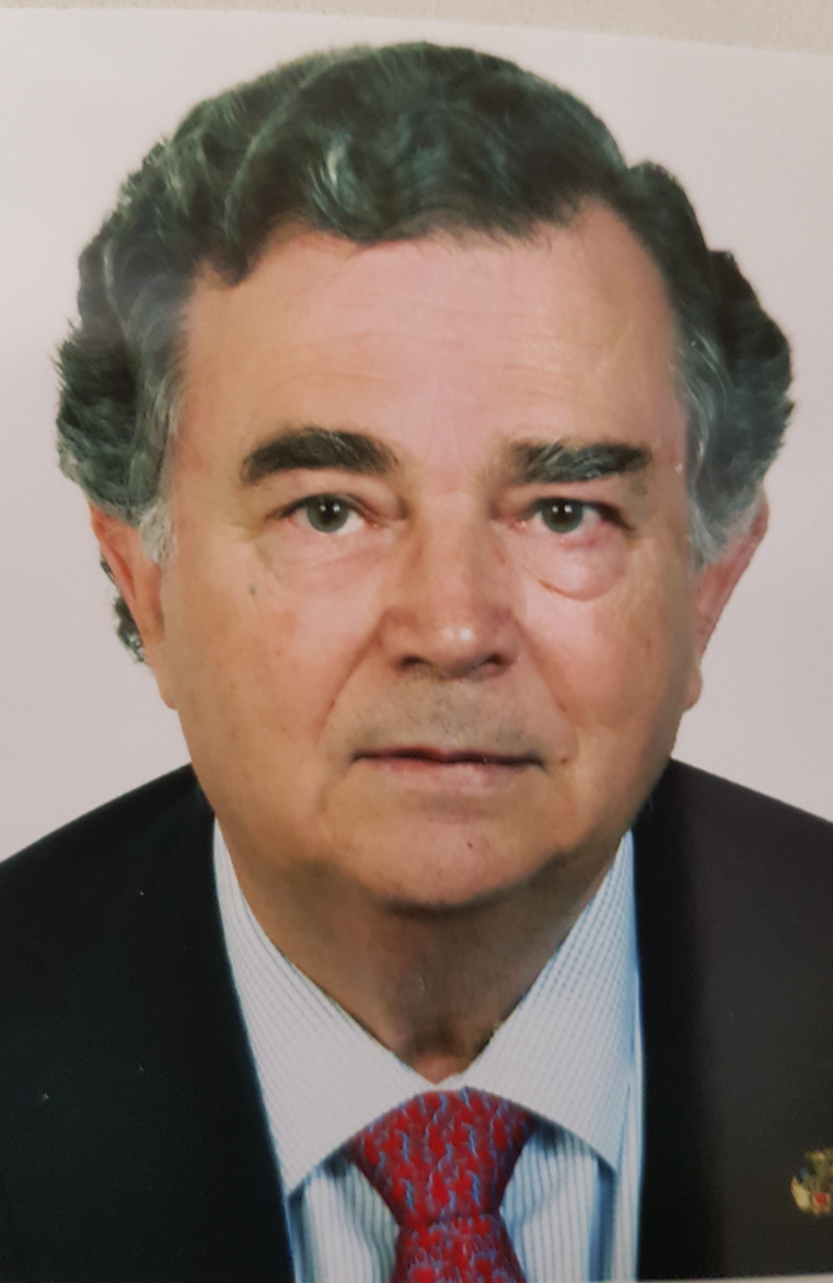 Prof. Dr. Bartolom&eacute; Valle Buenestado