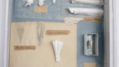 Sammlung an Kunstelementen
