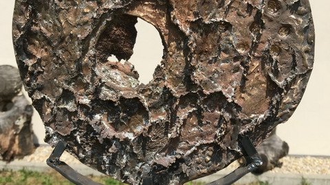 Metallscheibe auf einem Fu&szlig;