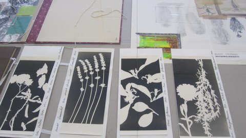 Sammeln, ordnen, auslegen