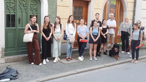 Social-Walk