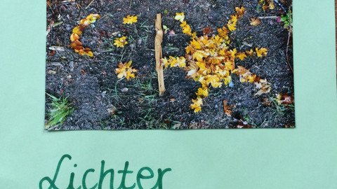 LandArt