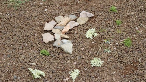 LandArt