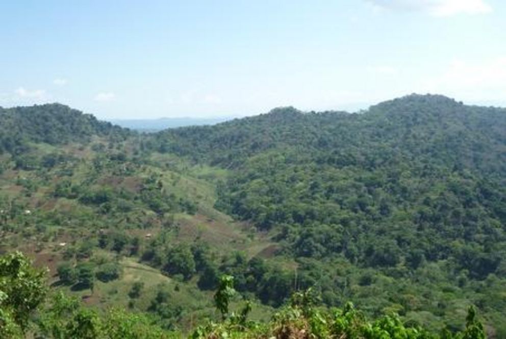 Wie Landwirtschaft und Wald ineinandergreifen: Im Südwesten Äthiopiens sammelte Prof. Dr. Christine Schmitt Daten über tropische Bergwälder für ihre Doktorarbeit. Foto: Schmitt
