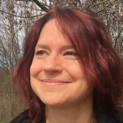 Vice Dean for Research and International Affairs