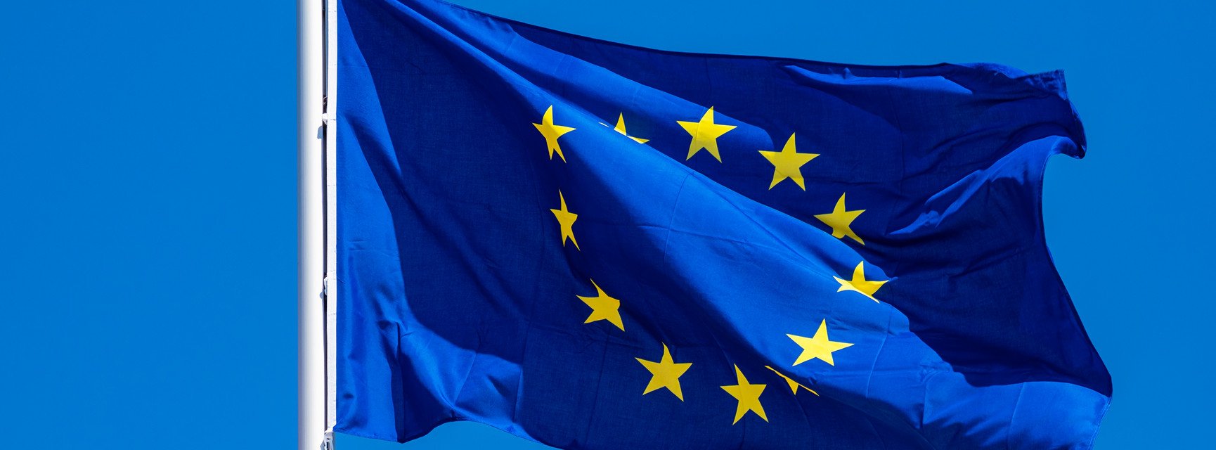 Jean Monnet Chair of European Politics